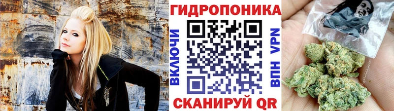 Псилоцибиновые грибы Себеж