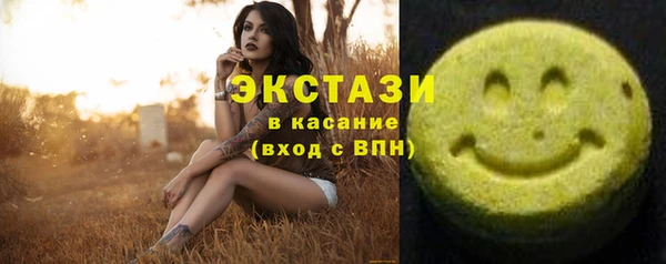мдпв Карпинск