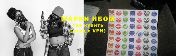 мдпв Карпинск