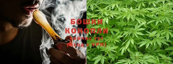 мдпв Карпинск