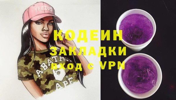мдпв Карпинск
