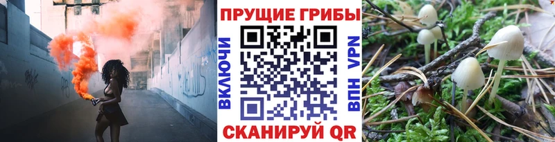 Купить закладки  Себеж  Псилоцибиновые грибы мухоморы 